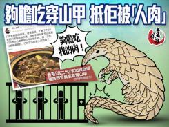 夠膽吃穿山甲 抵佢被「人肉」