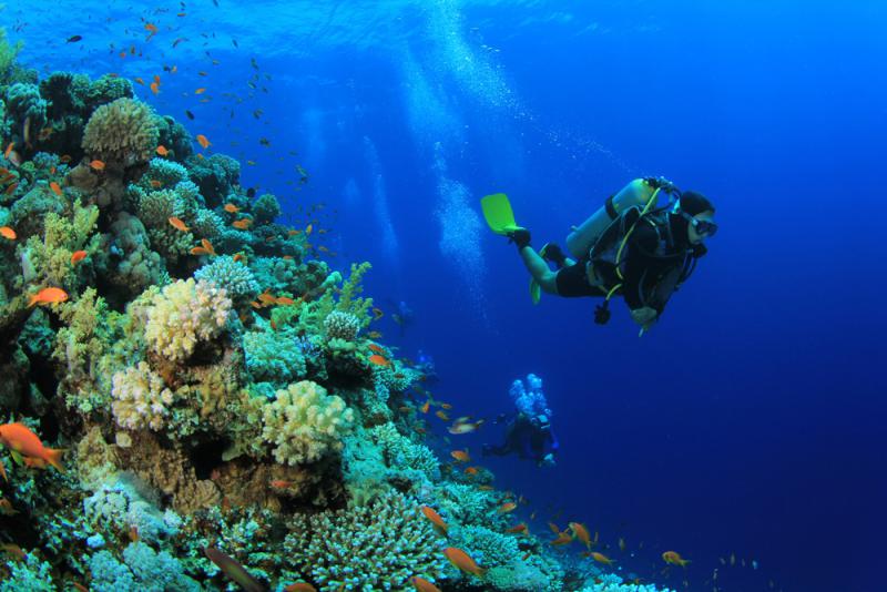 图:潜水是马尔代夫的热门活动