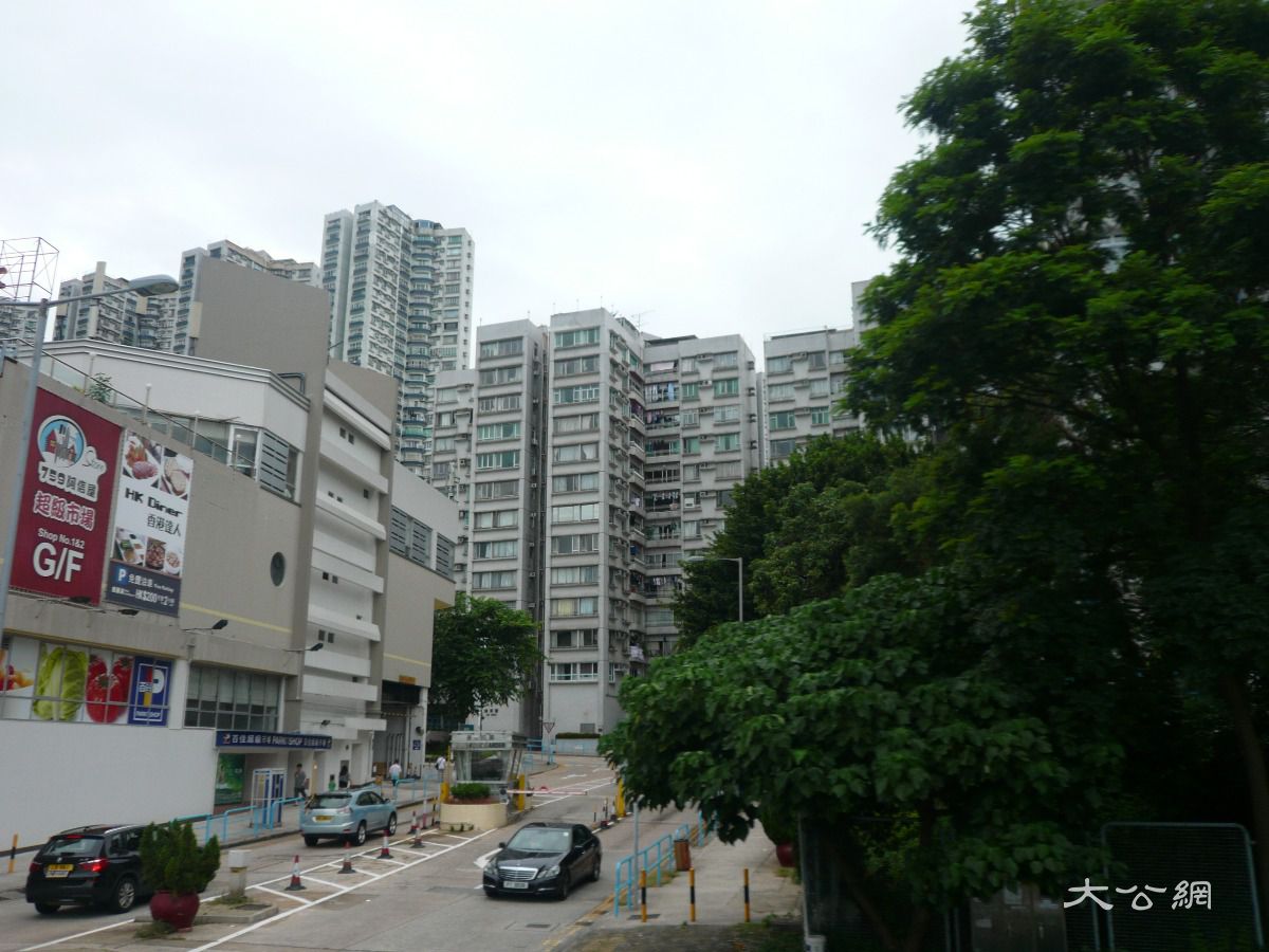 等足21年 豪景花园「蟹货」终返家乡