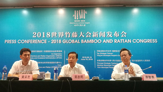 中國竹產業年產值2000億 2018世界竹藤大會月底舉行