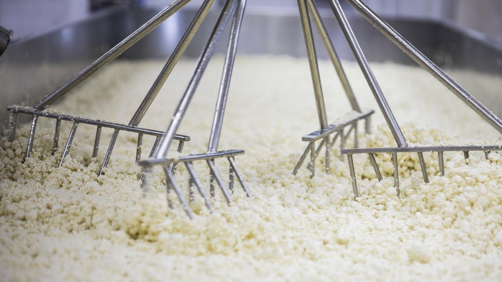 美国奶酪制造商吐槽贸易战：如果出口大门关上，牛奶只能倒田里