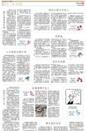 B11：小公园