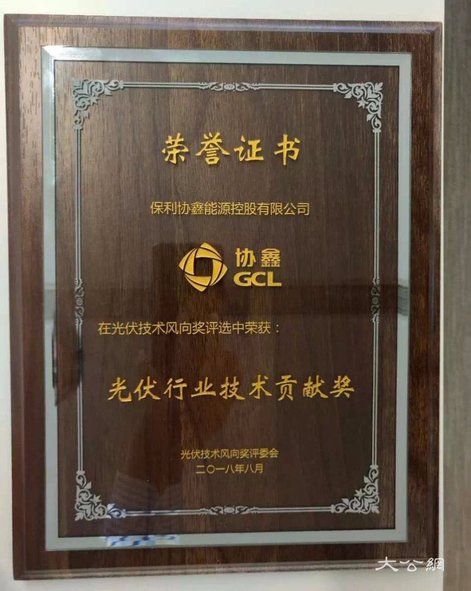 引领黑硅高效光伏，保利协鑫荣膺“光伏行业技术贡献奖”