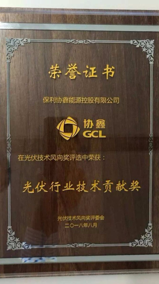 引领黑硅高效光伏，保利协鑫荣膺“光伏行业技术贡献奖”