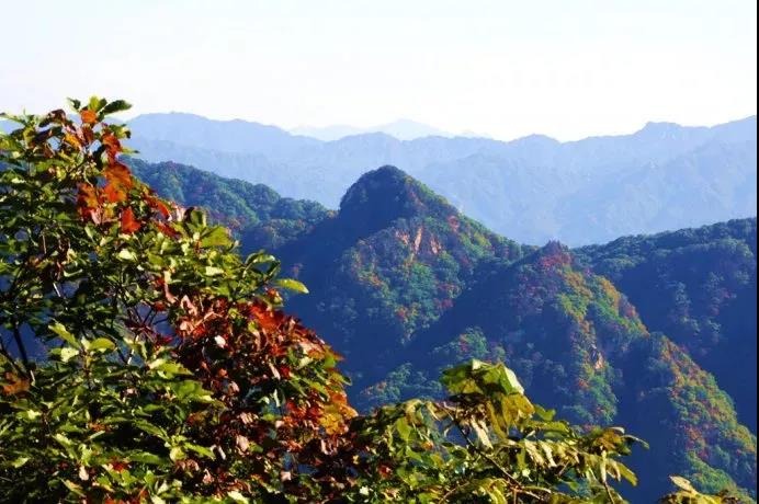 碧云天,黄叶地,嵩县这5个地方的绝美秋色已上线!