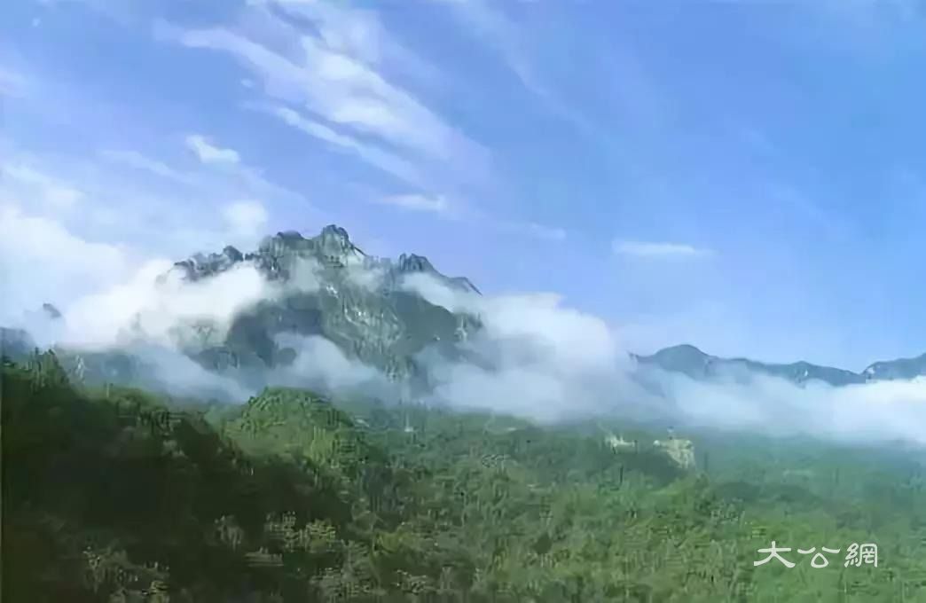 九皋山遍地是景,山腰山顶有72洞 洞洞有奇景,景致各有特色 九皋山的水量充沛如西子湖畔 湖面景色颇为宁静壮观~ 九皋山山势险峻,路窄、弯多、弯急,请注意安全! 六龙山 六龙山是所动植物乐园。这里奇峰壁立、洞壑深幽。别具一格的景区集北方的豪野刚阳美与南方的明秀阴柔美为一体,被考察,观光者多誉为“非是名山胜名山,非是仙境胜仙境”之美称。实为观光、休闲、写生、科研的理想胜地。 六龙山的美就美在终年升腾着勃勃生机的竹海,美在自然之神赐予的不带人为痕迹的天然风景。 地址:嵩县车村镇两河口村