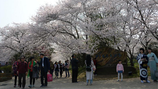 中日韩深化旅游合作扩大人员往来 力争2020年达3000万人次