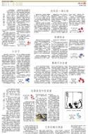 B15：其他