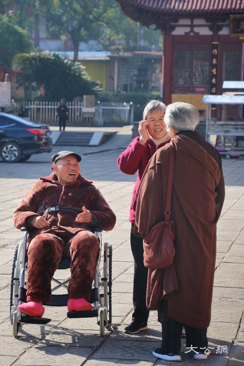 "当你老了"2019首届(中国福鼎)佛教养老论坛探讨中国传统孝道文化