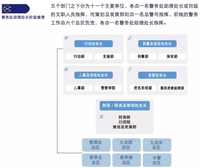 新闻 港闻 > 正文 警队架构和警种 香港警务处隶属于香港特区政府保安