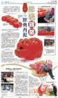 B6：副刊