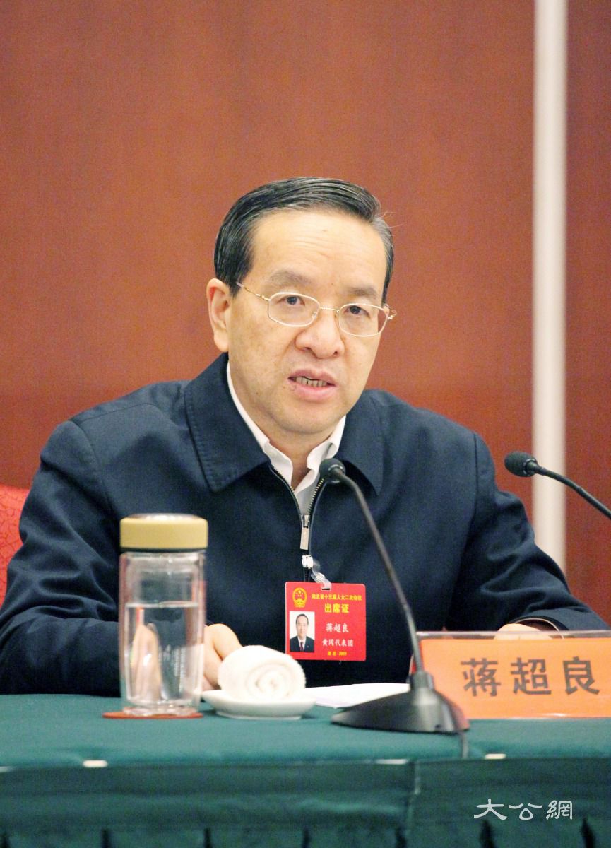 蒋超良表示,湖北支持武汉打造国之重器的"芯"产业集群(记者俞鲲 摄)