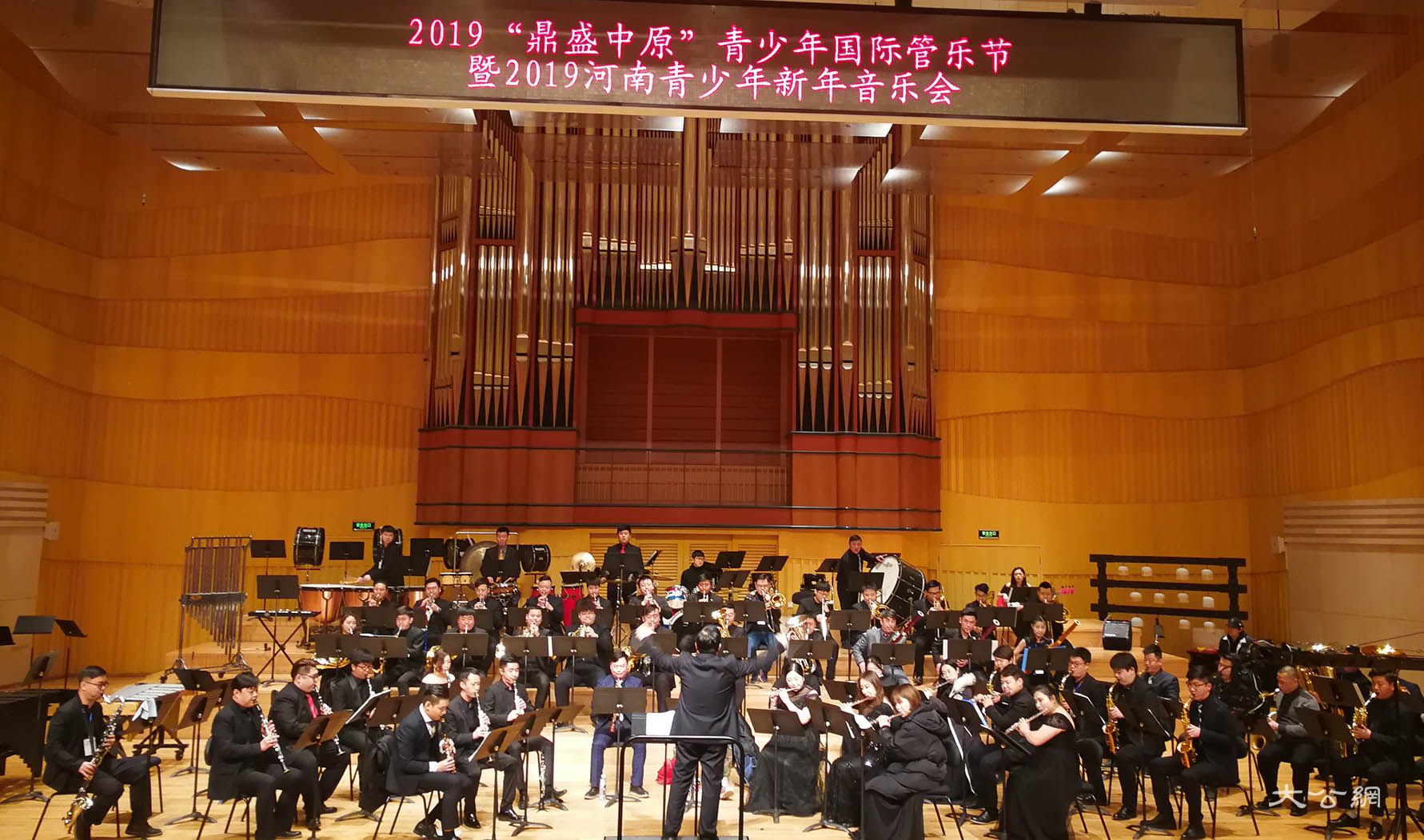 鄭州上演音樂嘉年華 千名小演奏家奏響新年“賀歲曲”