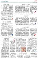 B3：小公园