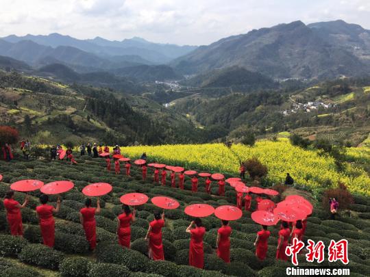 第九屆中國黃山油菜花攝影節開幕