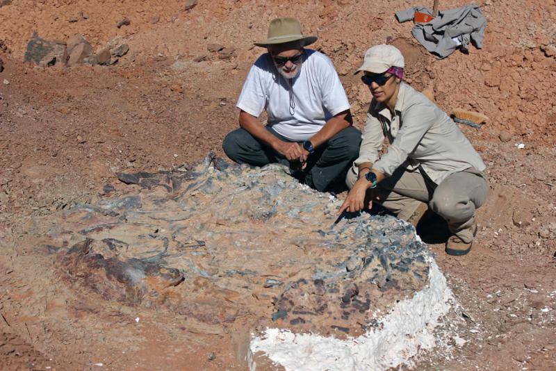 阿根廷現2.2億年前恐龍墓地