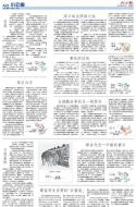 A22：小公园