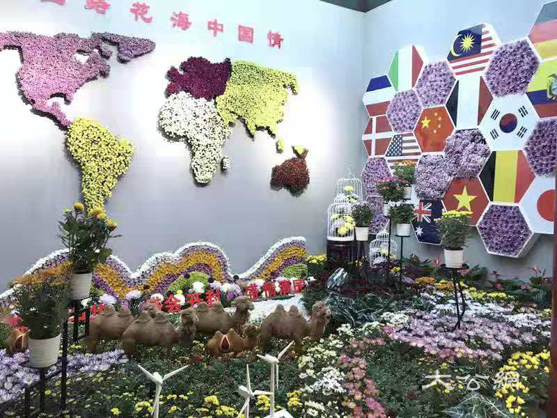 中國開封第37屆菊花文化節18日將開幕 歷時1個月