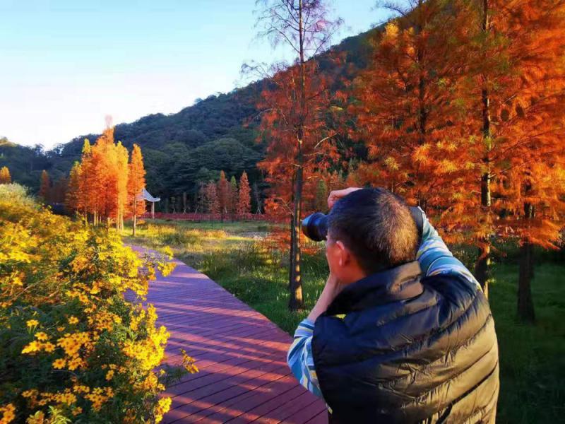 正文 今年冷空气持续南下,素有"广州香山"之称的石门国家森林公园