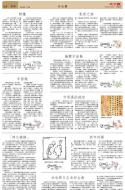 B4：小公园