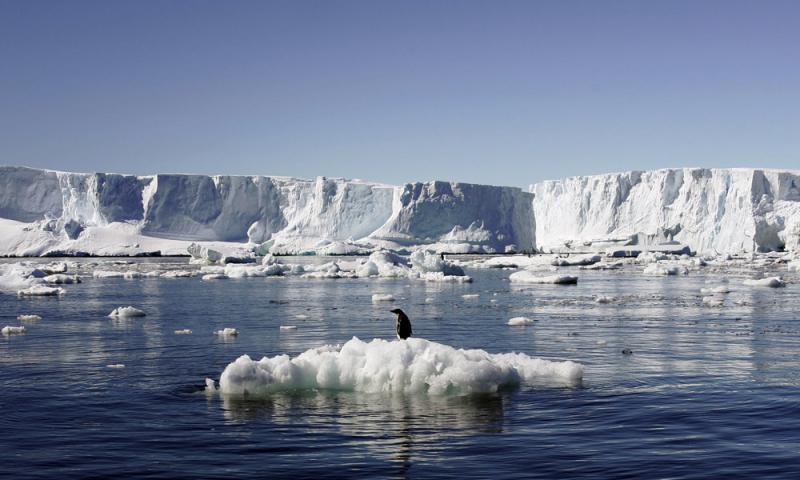 首次超過20℃ 南極高溫再創紀錄
