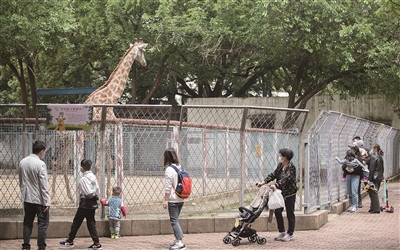 武漢動物園有序恢復開放 