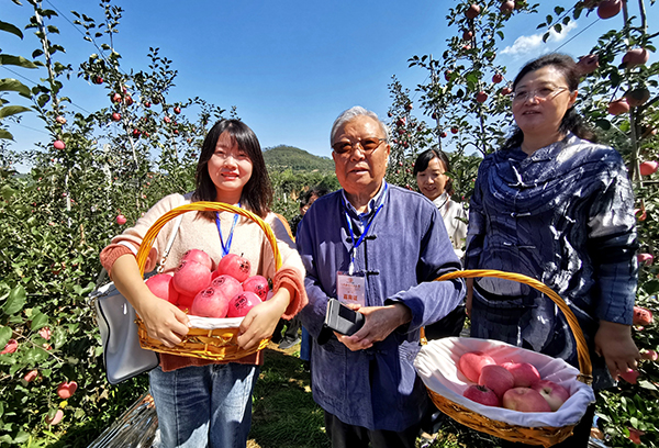 河南靈寶：五個方面做好蘋果產業助推鄉村振興
