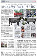 A14：中国