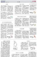 A20：小公园