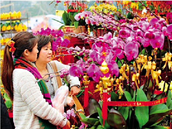 香港政府宣布恢復在15個場地舉辦年宵花市