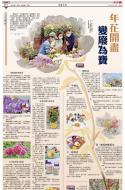 B10：副刊