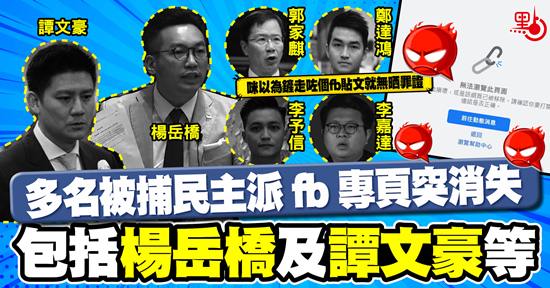 多名被捕民主派fb專頁突消失 包括楊岳橋及譚文豪等