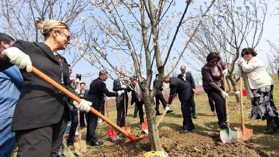星立方跳水吕后是这样划分土地的：省一级的官员每人25