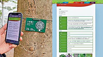 ﻿港万树获发“身份证” 市民手机扫一扫即可查看树木趣事