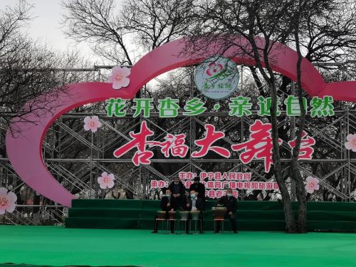 伊犁两处最美杏花观赏地节庆活动先后开启 拉开伊犁赏花之旅序幕