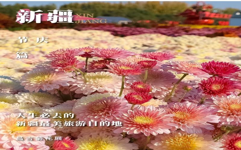 【人生必去的新疆最美旅游目的地】旅游节庆秋冬篇