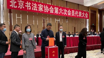 段俊平先生當選北京書協第六屆理事會理事