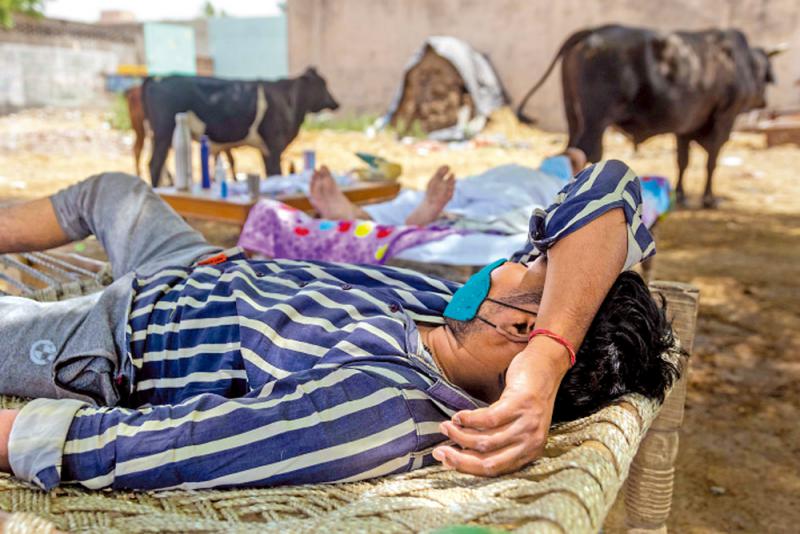 ﻿農村失守 印度病歿數破紀錄