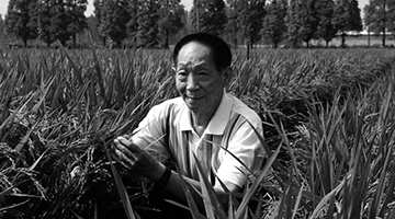 新華社：袁隆平院士逝世，享年91歲