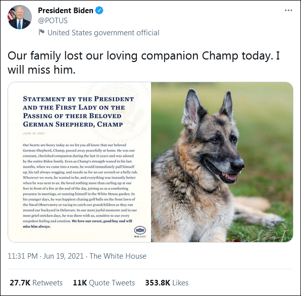 蔡英文悼念拜登死去的狗 網民轟「500條人命不如一隻狗」
