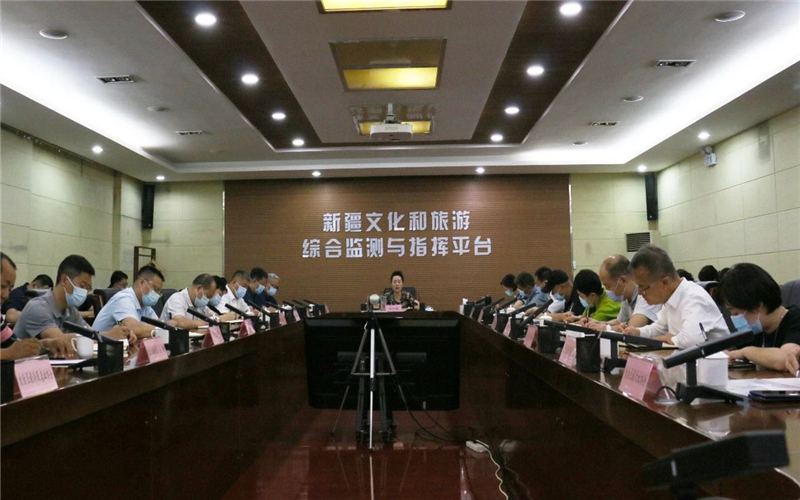 自治区文化和旅游厅召开视频会议安排部署近期重点工作