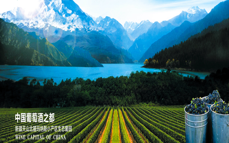  “中国葡萄酒之都”葡萄酒产业助力玛纳斯县经济稳步前进