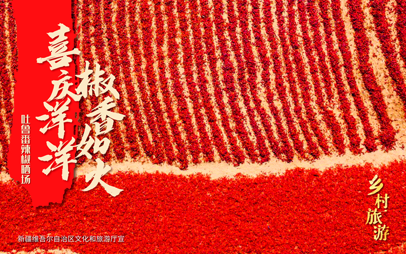 红辣椒 绿葡萄 引领新疆乡村游 ——让您的旅行“有看头、有玩头、有念头”