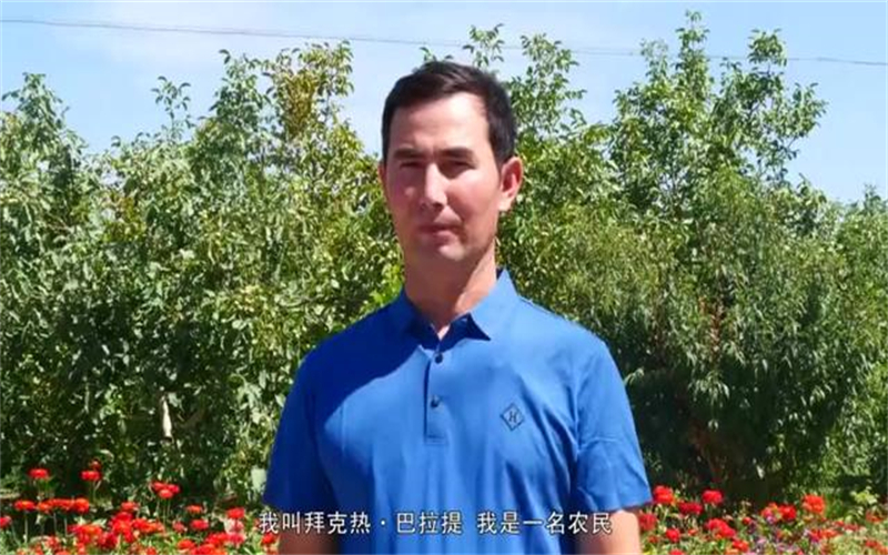 万人说新疆丨棉农的“幸福密码” 
