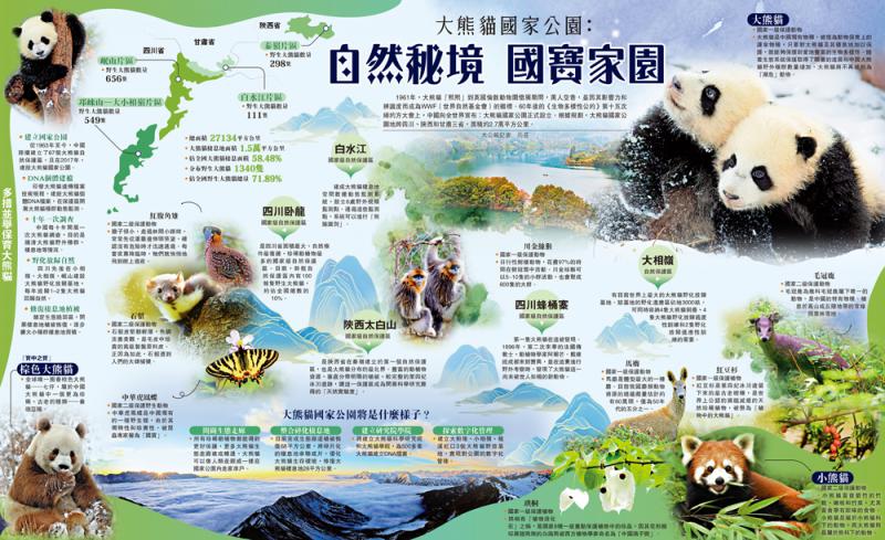﻿大熊貓國家公園：自然秘境 國寶家園