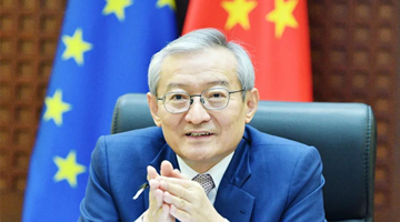 中国驻欧盟使团：一些人似乎认为台湾是张很好打的牌