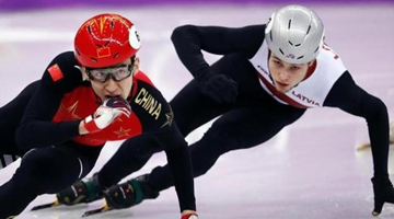 大年初五 中国队将在短道速滑项目冲击冬奥首金