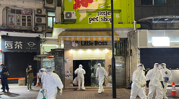 香港宠物店德尔塔病毒再变异！已出现第二代传播