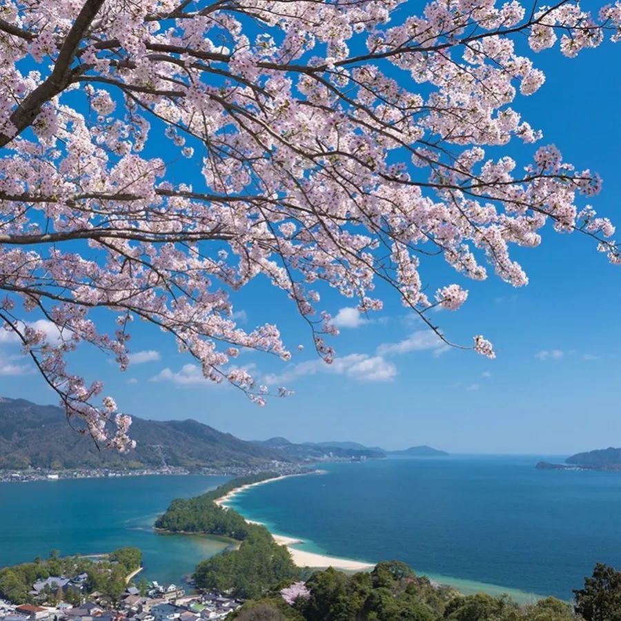 赫赫有名的“日本三景”，你真的知道是哪三个吗？