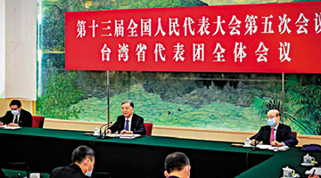 ﻿汪洋参加台湾代表团审议：携手共促祖国统一大业